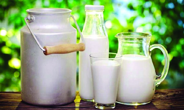 বিশ্ব দুগ্ধ দিবস