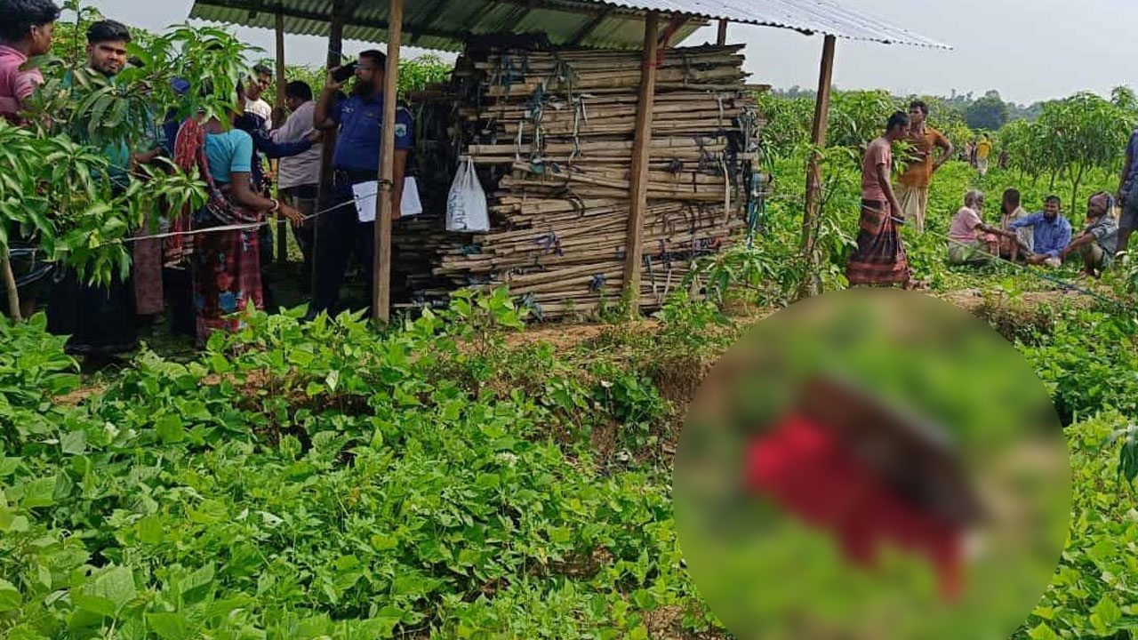 পোরশায় আমবাগান থেকে শিশুর লাশ উদ্ধার