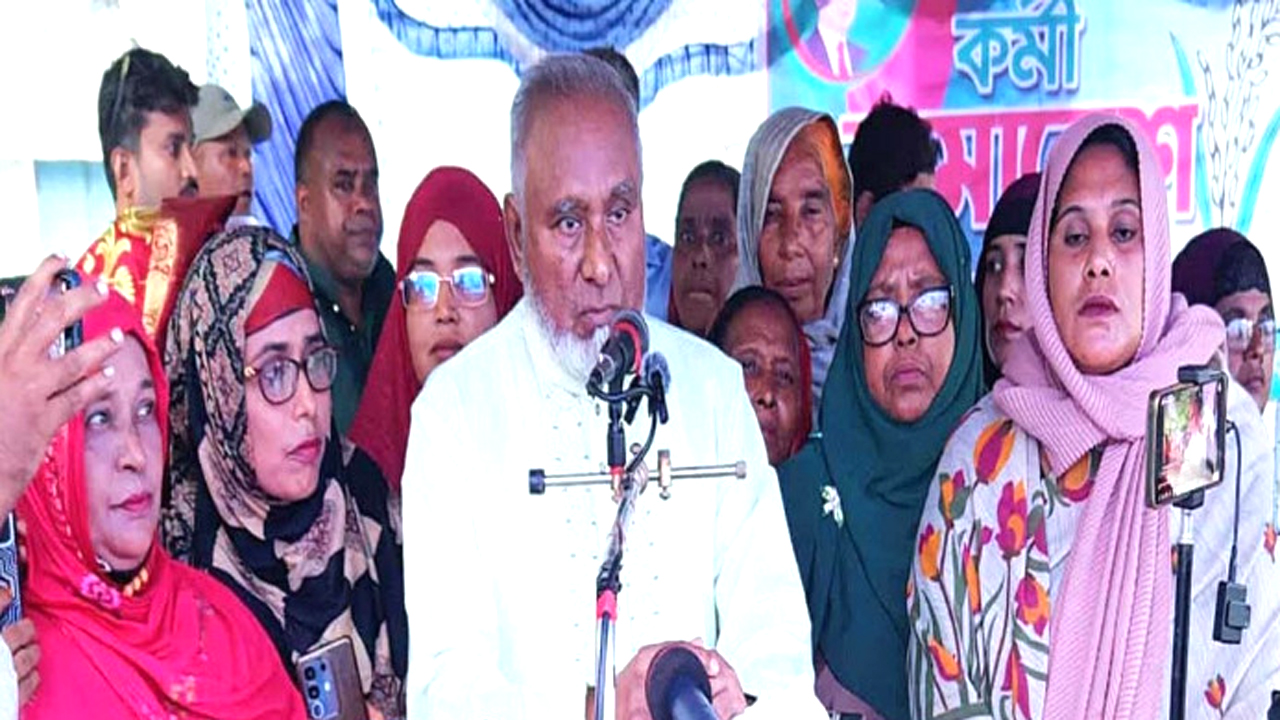 বক্তব্য রাখেন অধ্যাপক শহীদুল ইসলাম