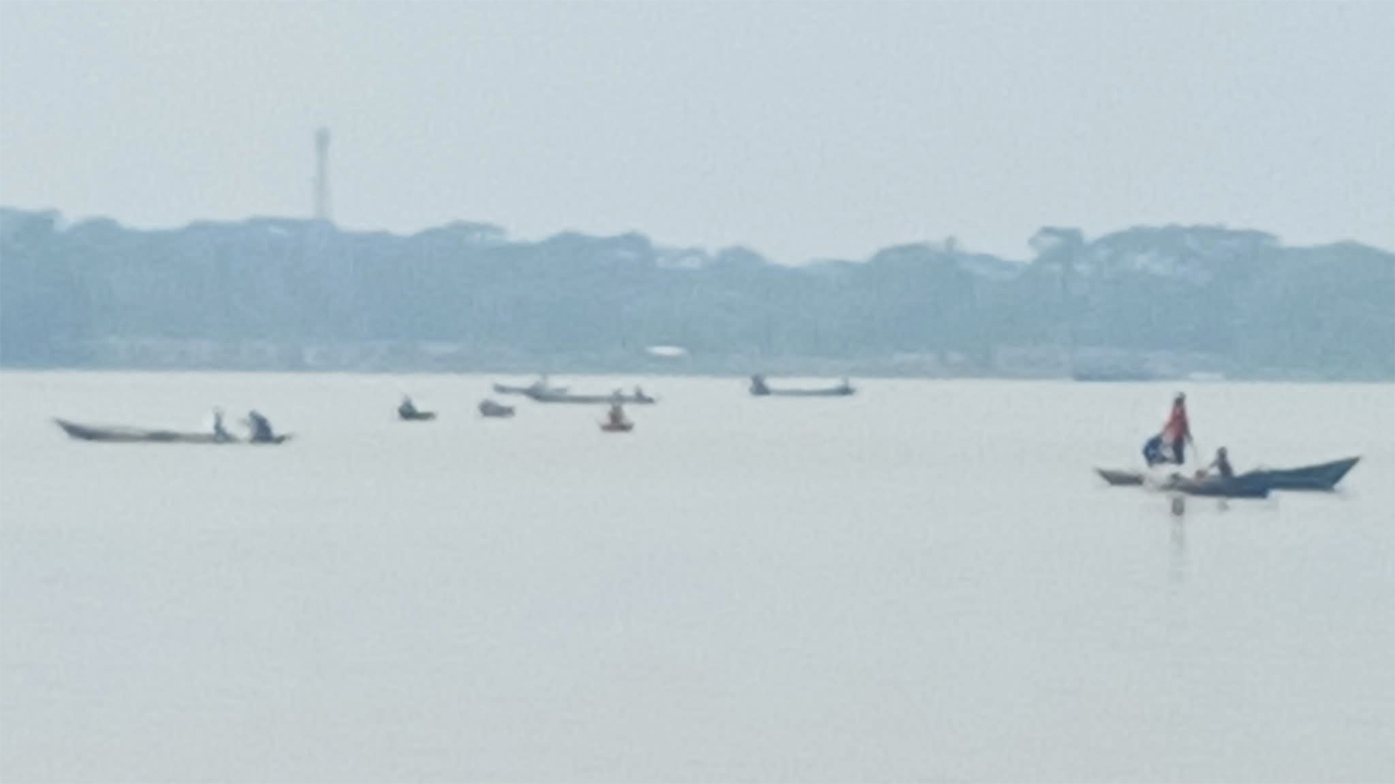 সন্ধ্যা নদীতে ইলিশ ধরার মহোৎসব