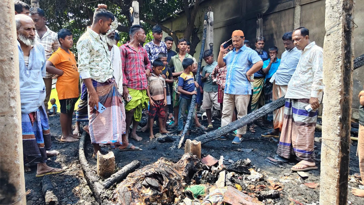 আগুনে বসতঘর ও গবাদিপশু পুড়ে ছাই