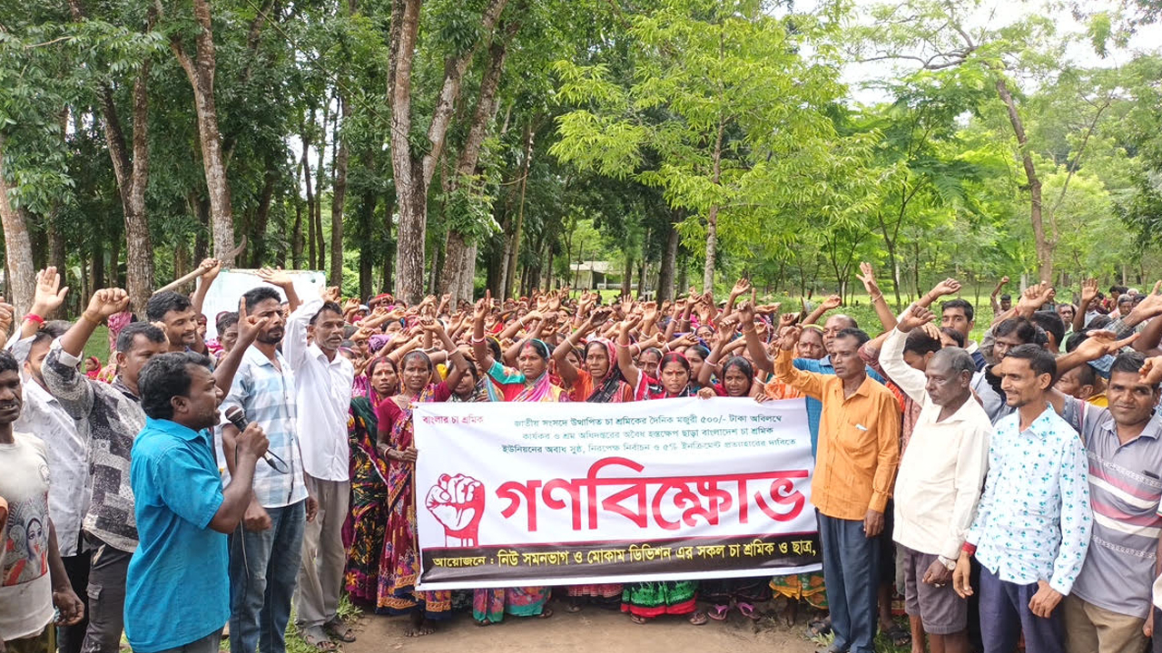 বড়লেখায় দৈনিক ৫০০ টাকা মজুরির দাবিতে চা শ্রমিকদের বিক্ষোভ