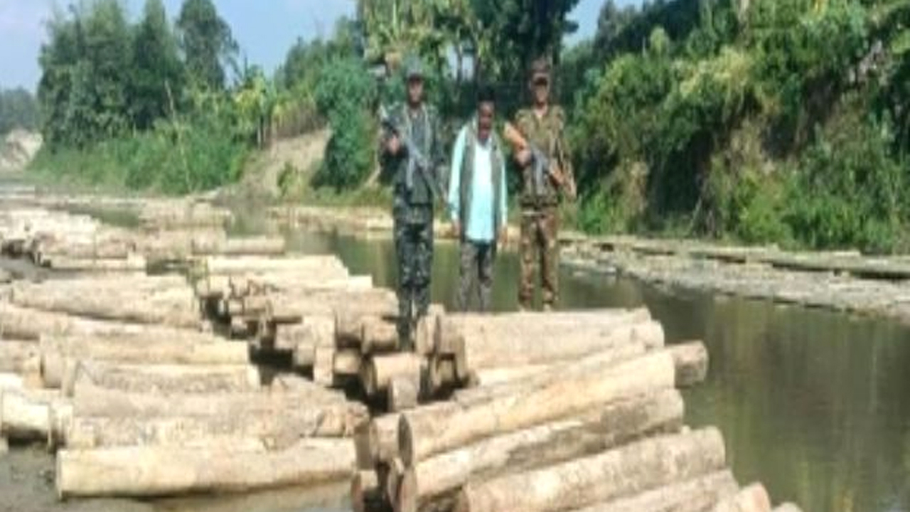 বড় কাঠ পাচার চক্রের সন্ধান