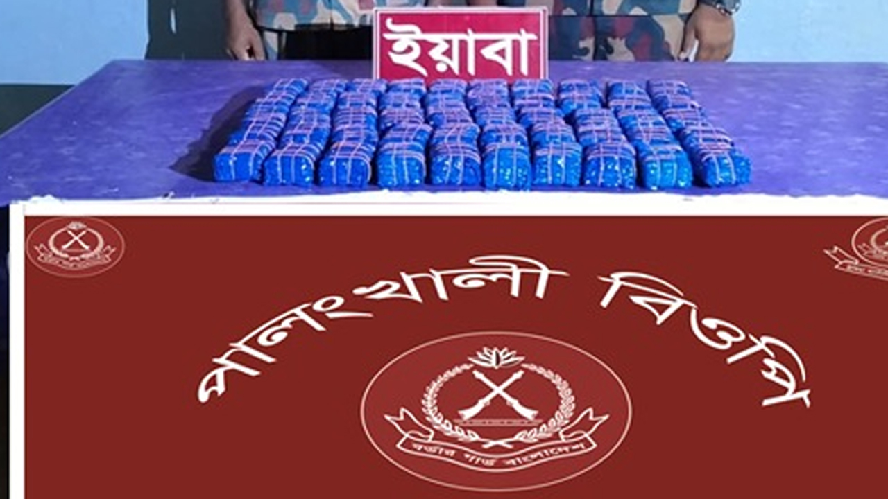 উখিয়া সীমান্তে ১ লাখ পিস ইয়াবা জব্দ